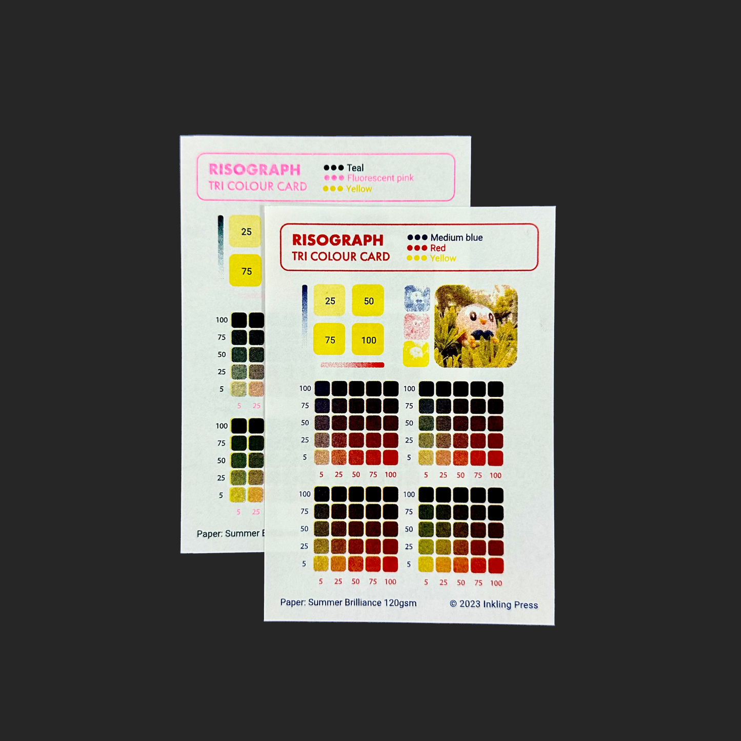 Riso Colour Card Set (without Aqua)