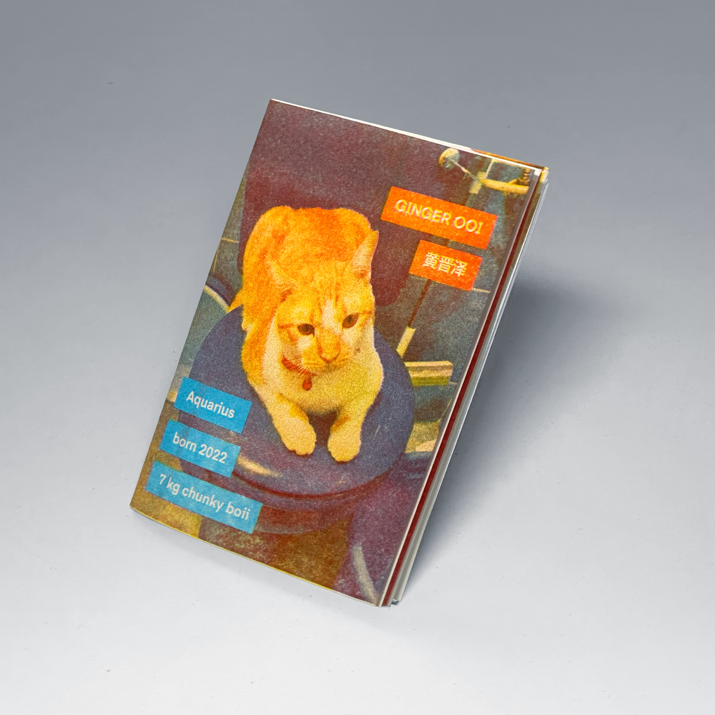 Ginger Ooi by Shin Chi